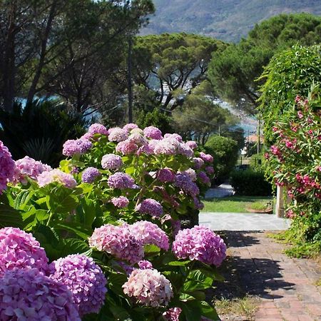 Villa Mesco Levanto Eksteriør bilde